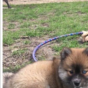 Meet your Posher, Ariel